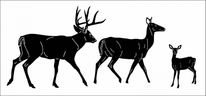  animal silhouettes buck doe fawn 